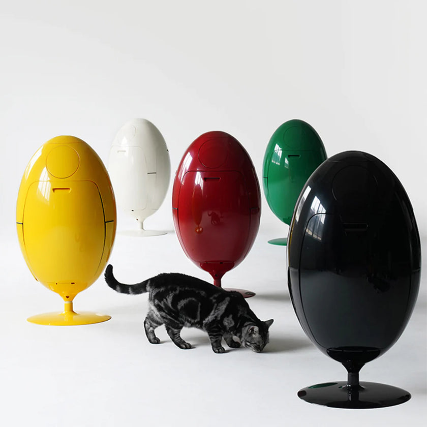 Colorful egg-shaped cat toys on a white background with a cat interacting with them.