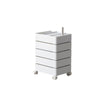 UF Hold My Spin Mobile Storage Containers