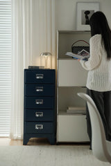 UF My Gallery Archive Cabinet