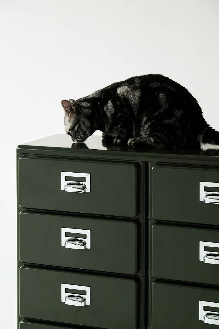 Black cat sitting on a set of black abs drawers with silver handles against a white background