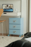 Blue rolling file cabinet in a home office setting with a computer monitor displaying a dog image.