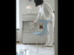A blue ABS chair with stainless steel legs stands in front of a white cabinet.