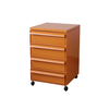 UF Pull Me Close Mobile Storage Containers