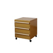 UF Pull Me Close Mobile Storage Containers