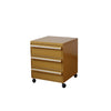 UF Pull Me Close Mobile Storage Containers