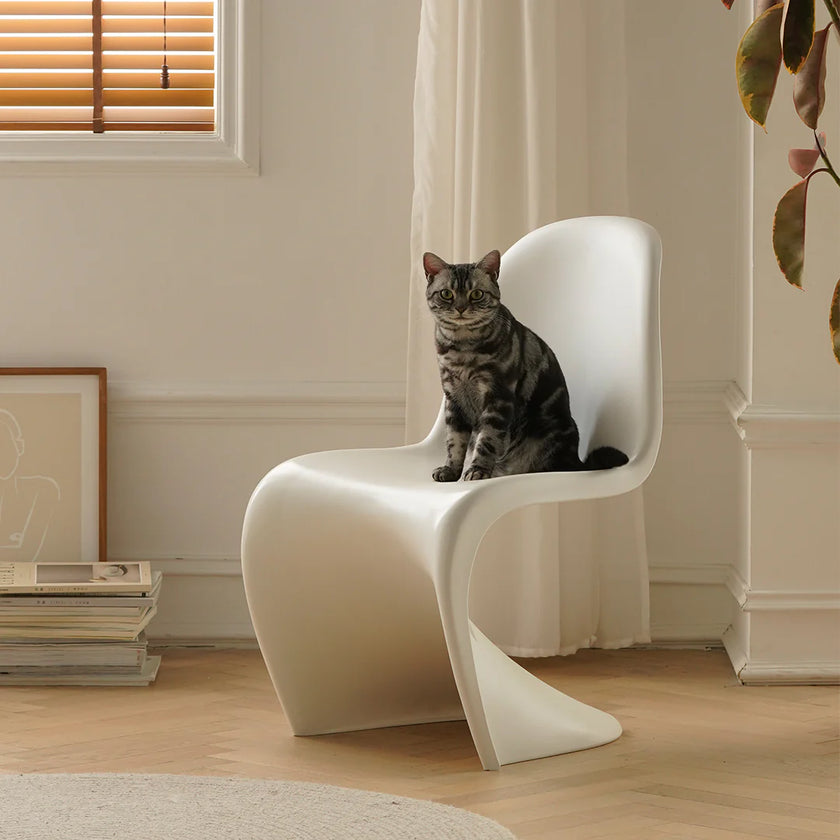 Cat sitting on a modern white chair in a room with a window and curtains.