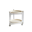 UF Show My Duality Storage Cart