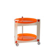 UF Show My Duality Storage Cart