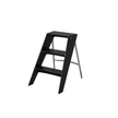 UF Take Higher with Me Ladder Rack
