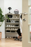 Shoe rack with various shoes and a plant in a room.