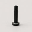 A single black metal threaded bolt with a flat washer head, standing upright on a light gray background.