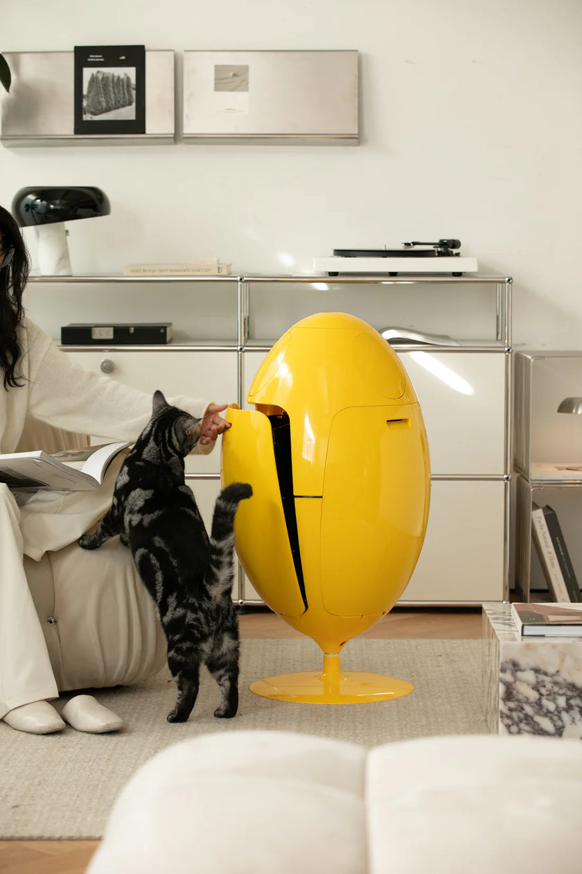 Yellow egg-shaped recycling bins for home in a modern living room with a person and a dog.
