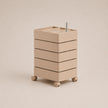 UF Hold My Spin Mobile Storage Containers