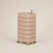 UF Hold My Spin Mobile Storage Containers