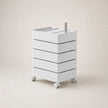UF Hold My Spin Mobile Storage Containers