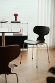 A modern black molded plastic dining chair with a curved backrest and slim gold metal legs, positioned in a bright, contemporary room with light wood floors and a glass side table in the background.