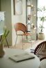 Modern interior with wooden living room chair, bookshelf, and decorative elements.