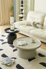Modern living room with a white sofa, mordern coffee table, and decorative items.