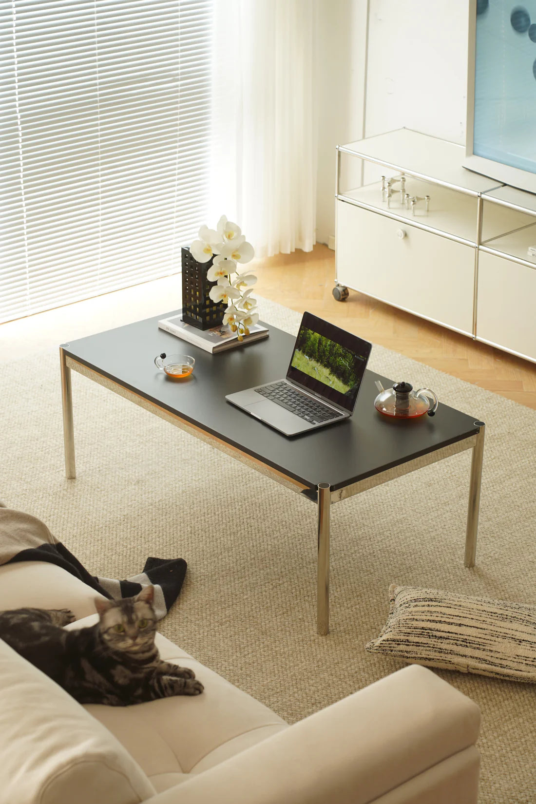 Laptop on a replica USM coffee table in a living room with a cat and decorative items.