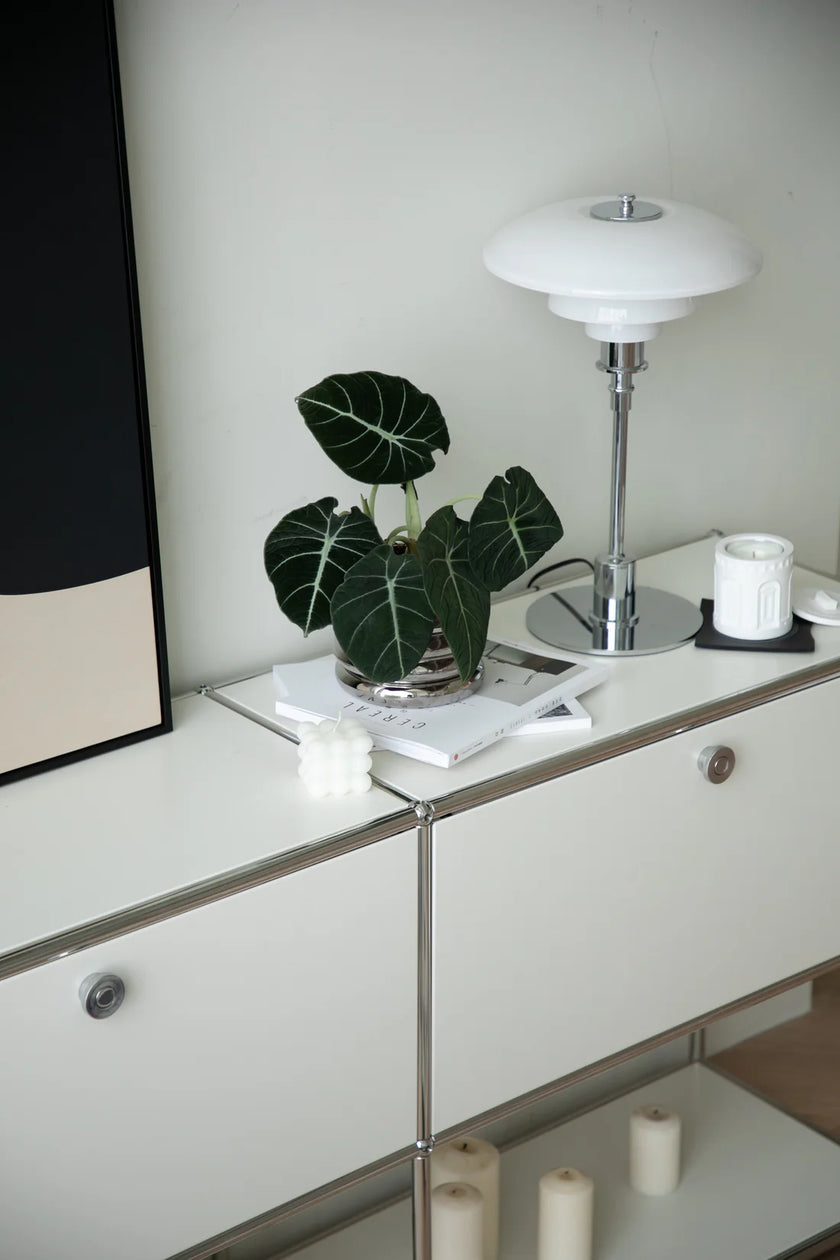 Modern interior with a inspired recreation USM modular white cabinet, lamp, and plant on a reflective surface.