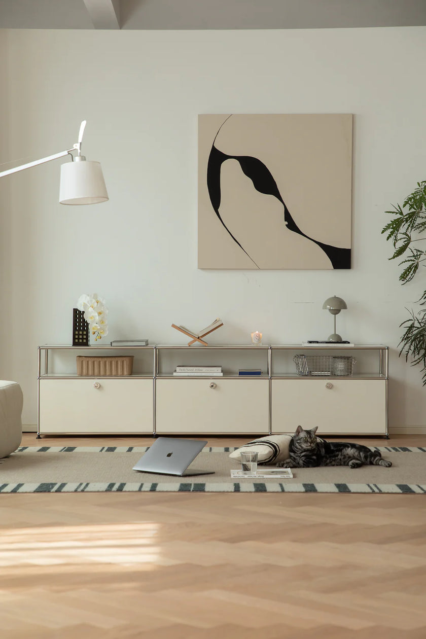 Modern living room with a cat on the floor, a inspired recreation USM modular TV stand, and abstract art on the wall.