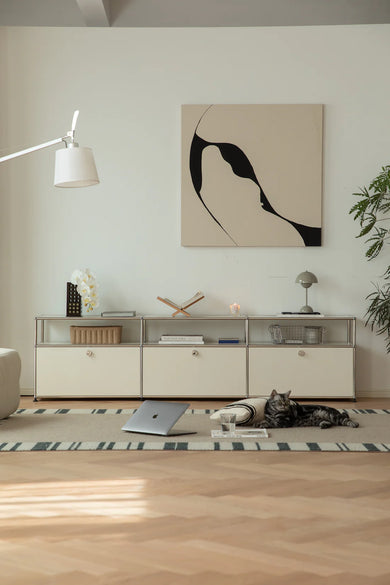 Modern living room with a cat on the floor, a replica USM modular TV stand, and abstract art on the wall.