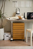 Home office with a desk, filing cabinet, and decor items.