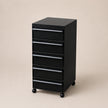 UF Pull Me Close Mobile Storage Containers