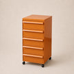 UF Pull Me Close Mobile Storage Containers