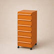 UF Pull Me Close Mobile Storage Containers