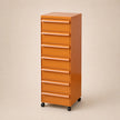 UF Pull Me Close Mobile Storage Containers
