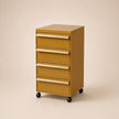 UF Pull Me Close Mobile Storage Containers