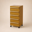 UF Pull Me Close Mobile Storage Containers