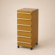 UF Pull Me Close Mobile Storage Containers