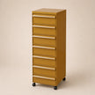 UF Pull Me Close Mobile Storage Containers
