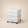 UF Pull Me Close Mobile Storage Containers