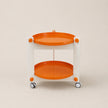 UF Show My Duality Storage Cart