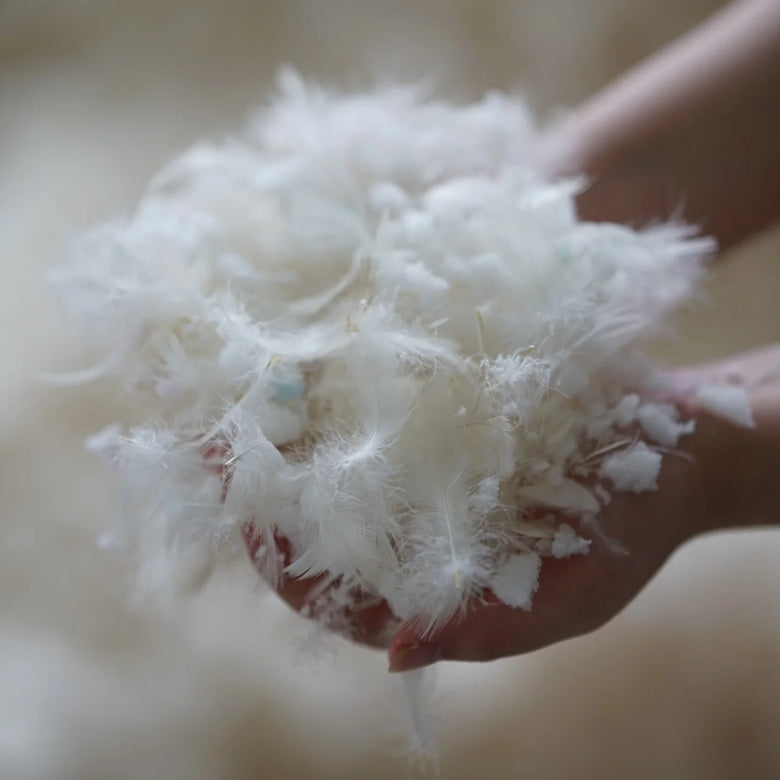 Hand holding a bundle of white cotton fibers against a blurred background
