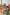 Colorful children's chairs in blue, red, orange, and green on a light wooden floor.