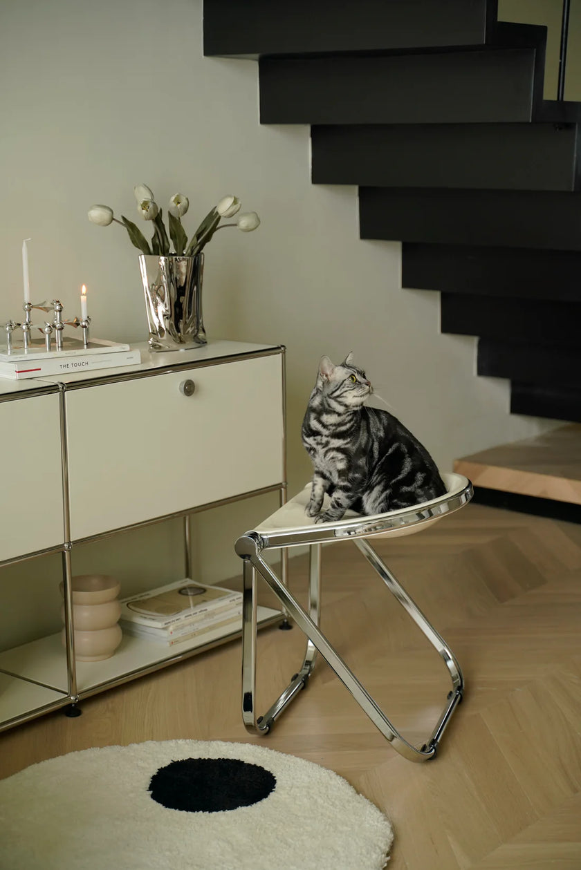 Cat sitting on a small folding stool in a room with a staircase and decorative items.
